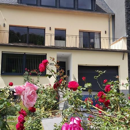 Ferienwohnung "Zum Klosterruinenblick" Krov Exterior photo